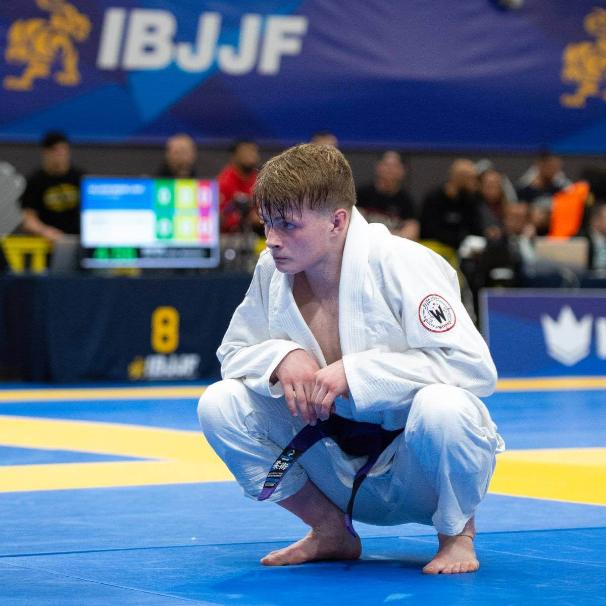 BJJ GI Wizard (bel)