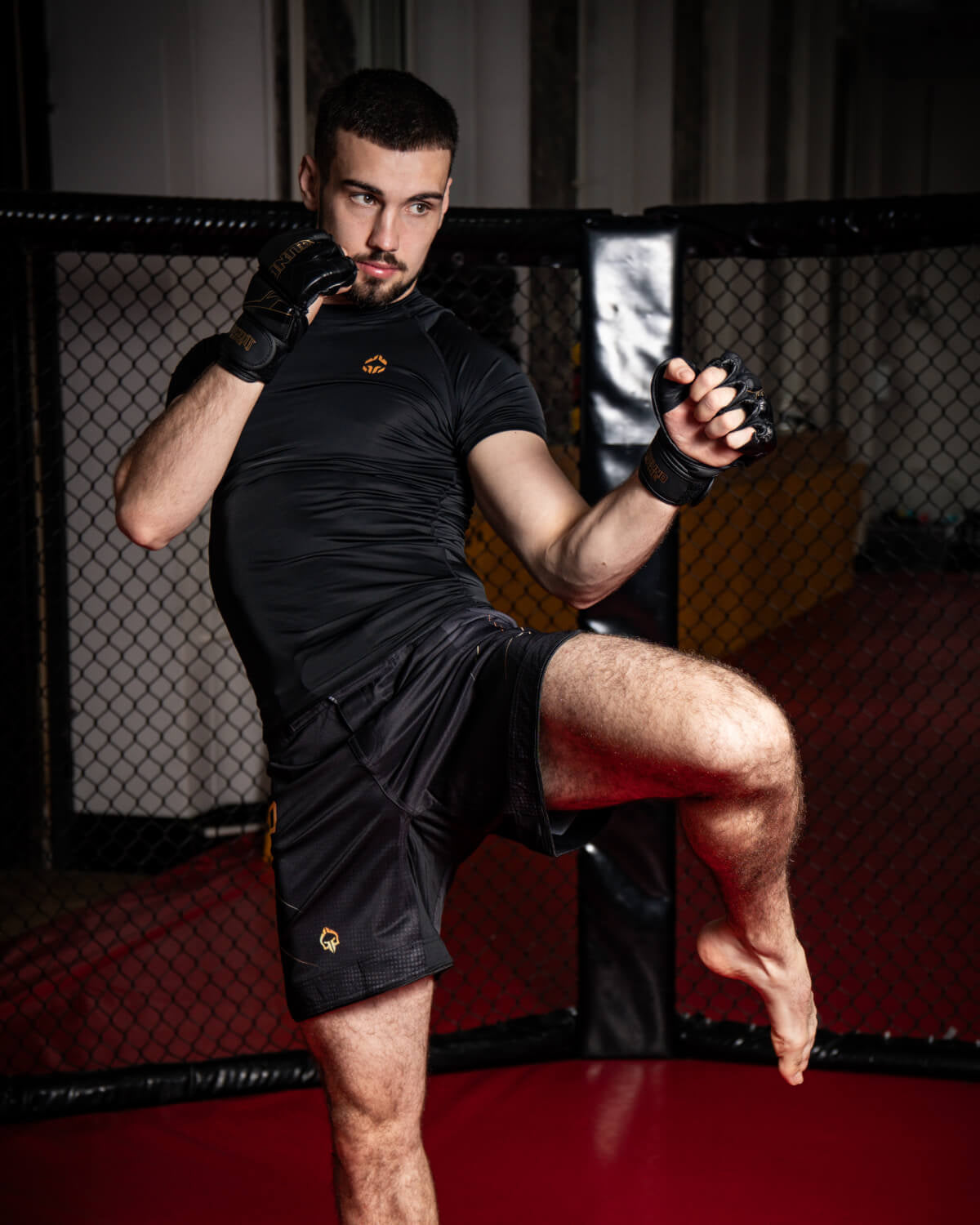 MMA rokavice Equinox