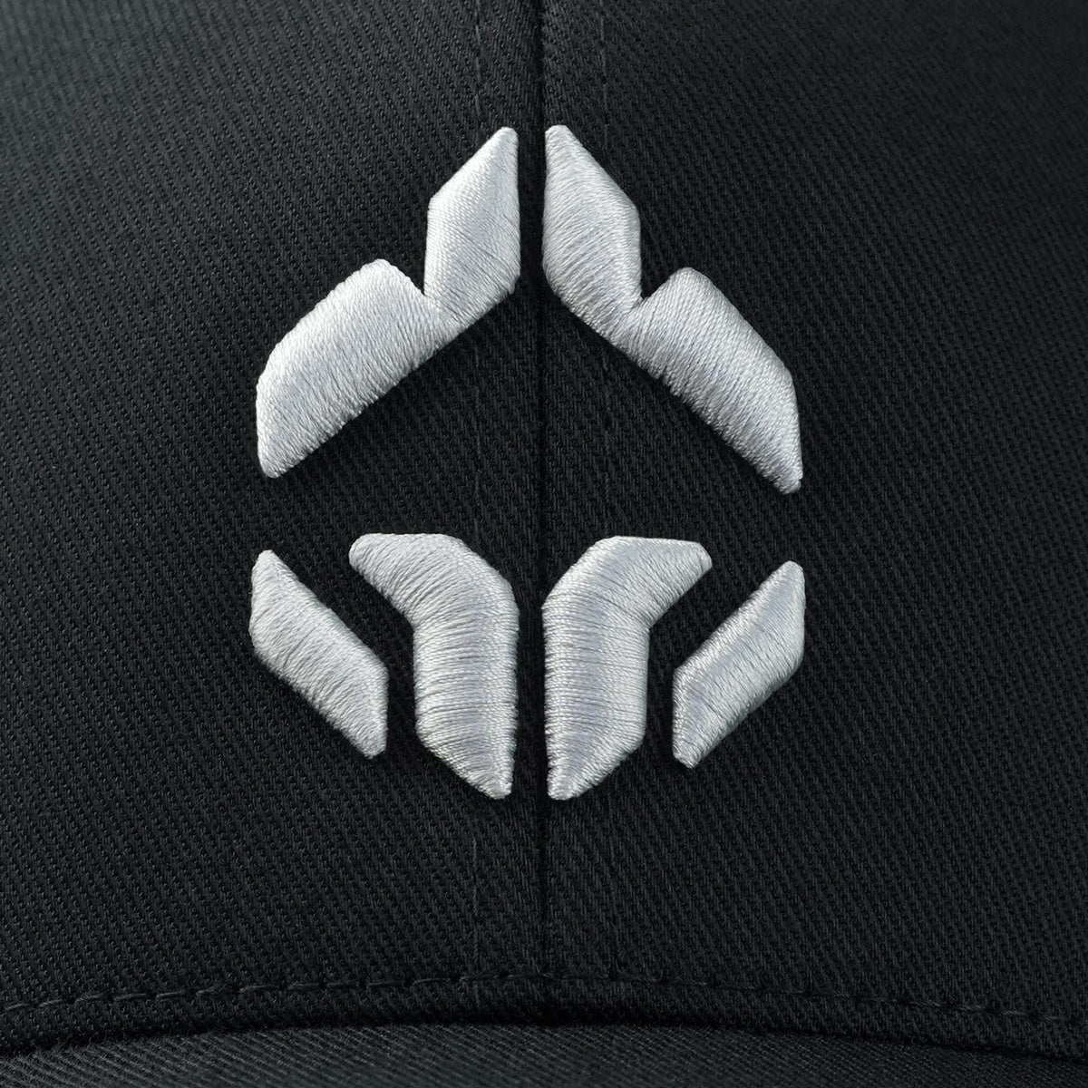 Kapa s šiltom Logo 3D Platinum (črna)