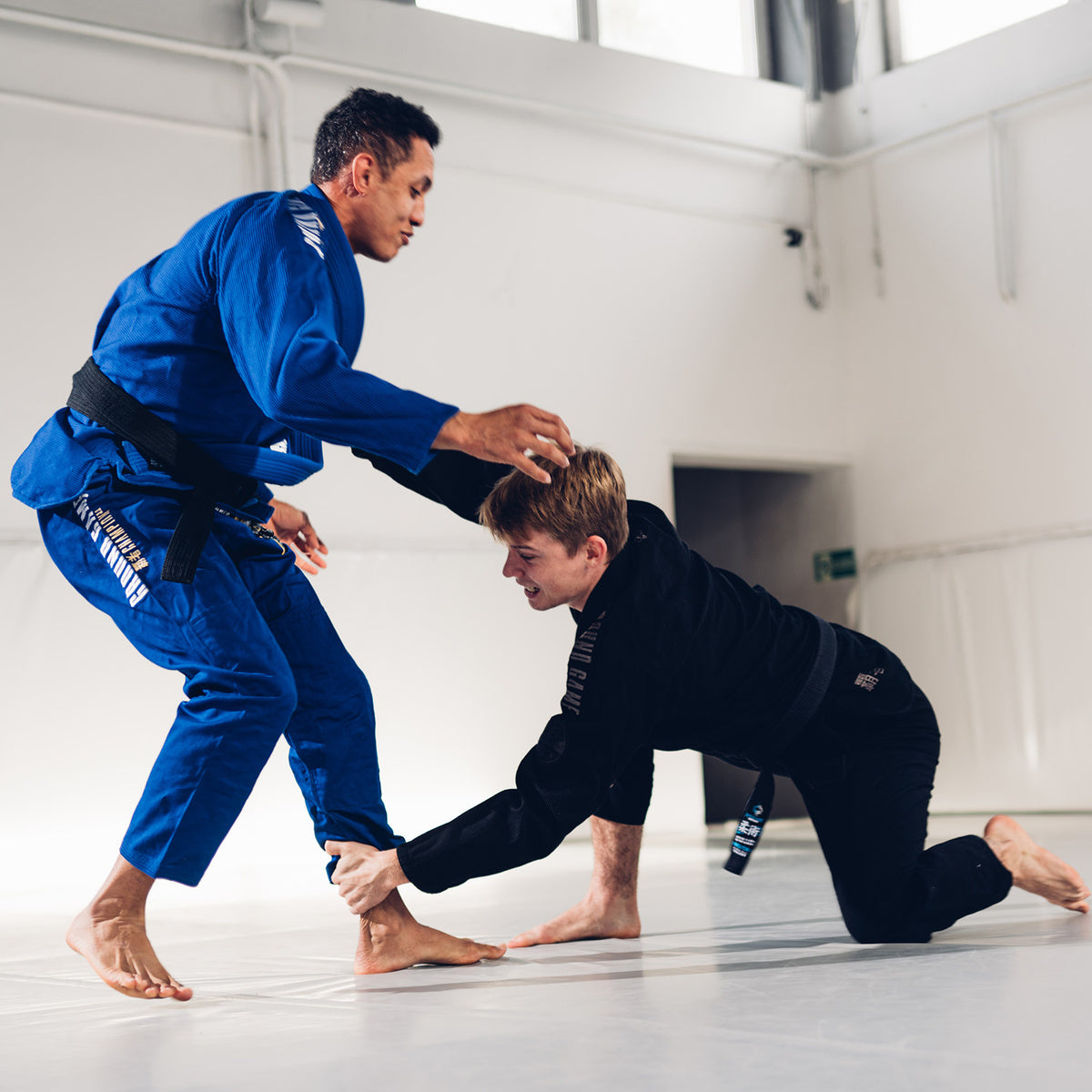 BJJ kimono / gi Champion 3.0 (moder) + PAS BREZPLAČNO