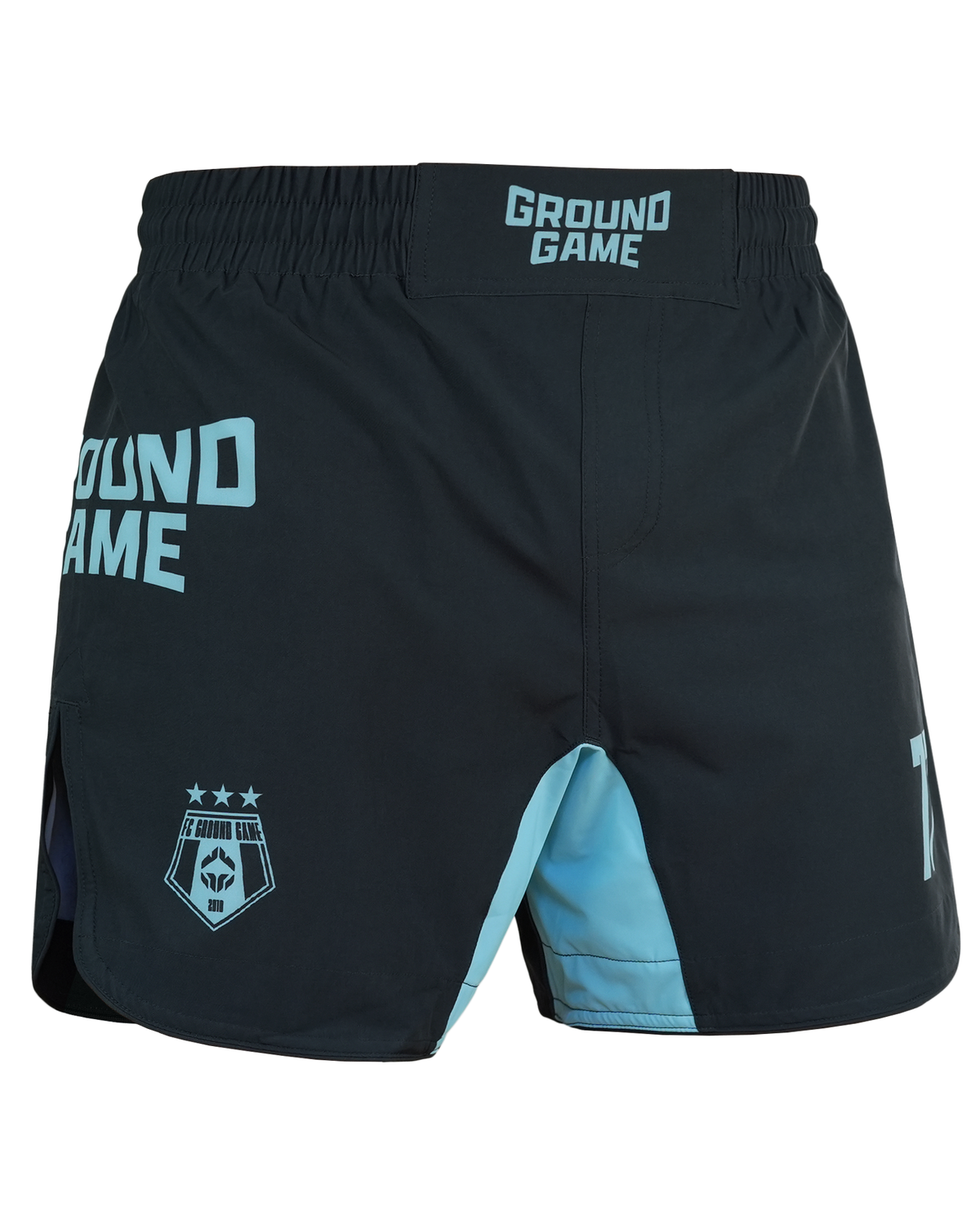 Lahke MMA kratke hlače FC Armbar (mint)