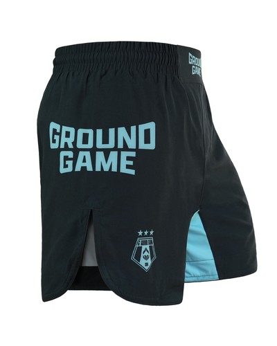Lahke MMA kratke hlače FC Armbar (mint)