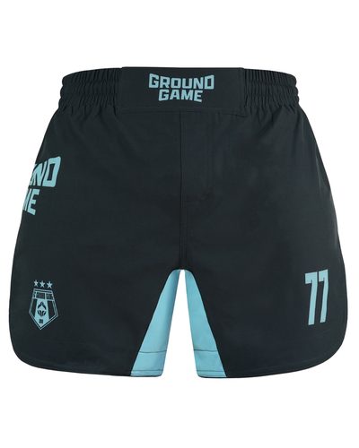 Lahke MMA kratke hlače FC Armbar (mint)