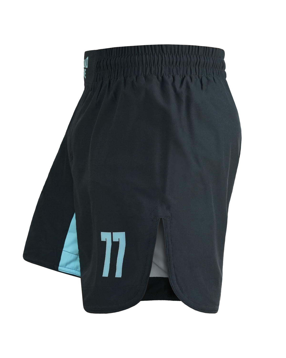 Lahke MMA kratke hlače FC Armbar (mint)
