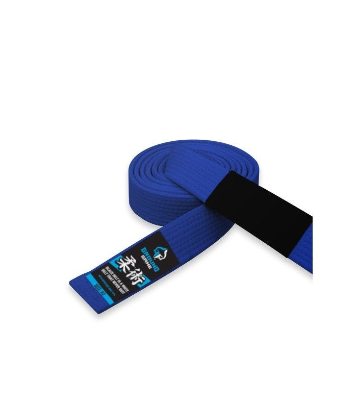 Pas BJJ (moder)