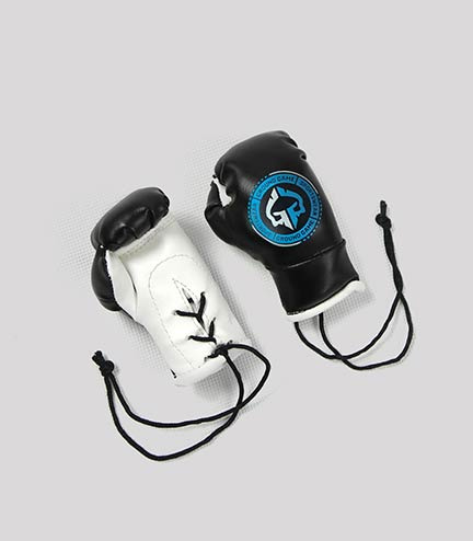 Mini Boxing Gloves