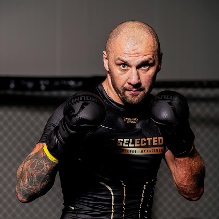 MMA Sparing Rokavice Stripe Black